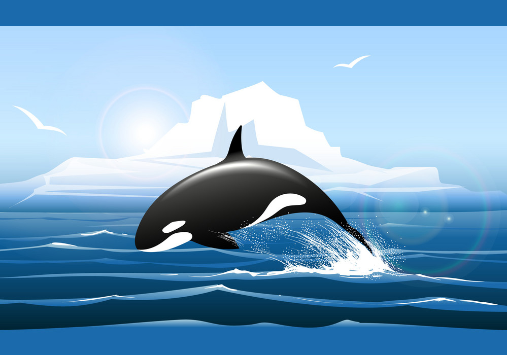 A graphic of an orca jumping out of the water with blue sky and an iceberg behind it.